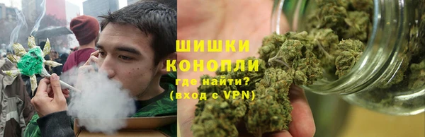 apvp Алексин