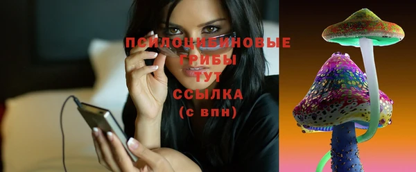 apvp Алексин